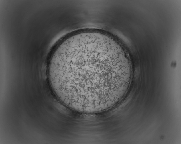 X0000101151310200807181324