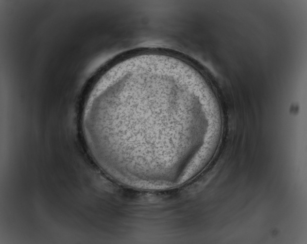 X0000101151311200807181324