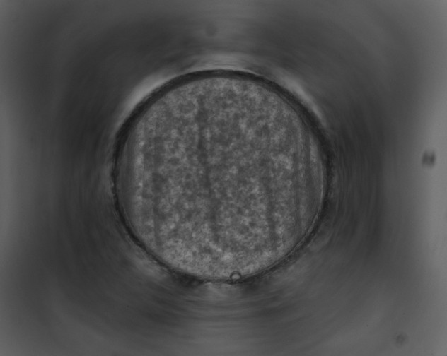 X0000101151312200807181324