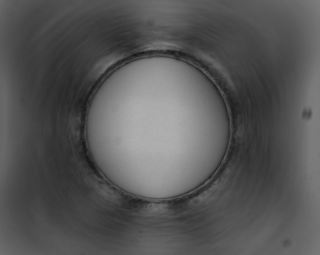 X0000101151313200807181324