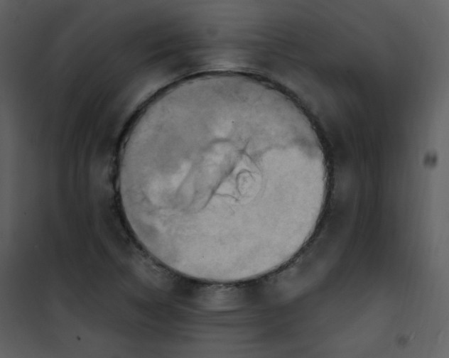 X0000101151314200807181324