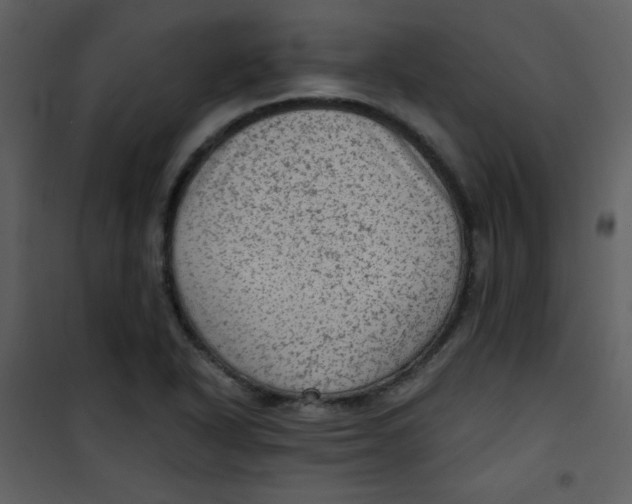 X0000101151318200807181324