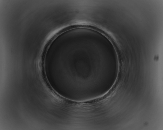 X0000101151319200807181324