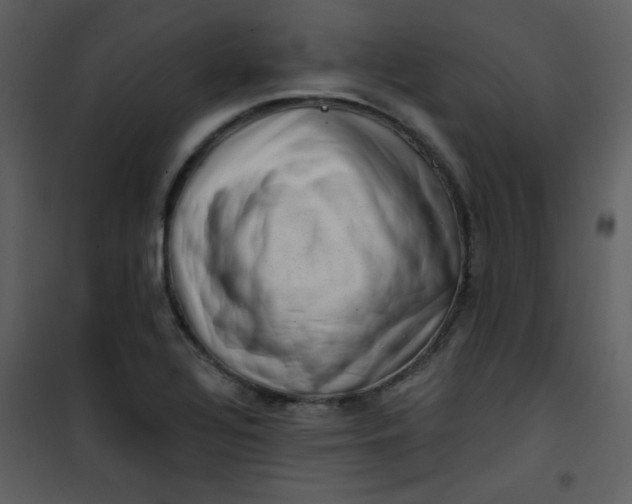 X0000101151320200807181324