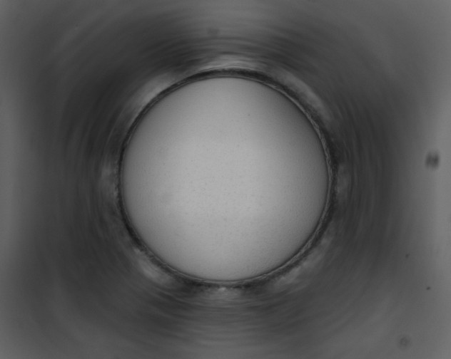 X0000101151321200807181324