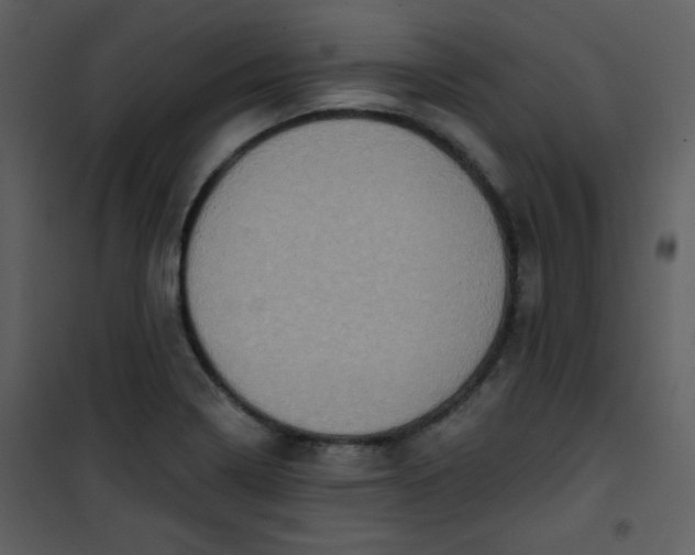 X0000101151322200807181324