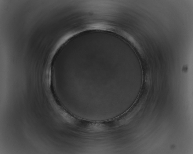 X0000101151323200807181324