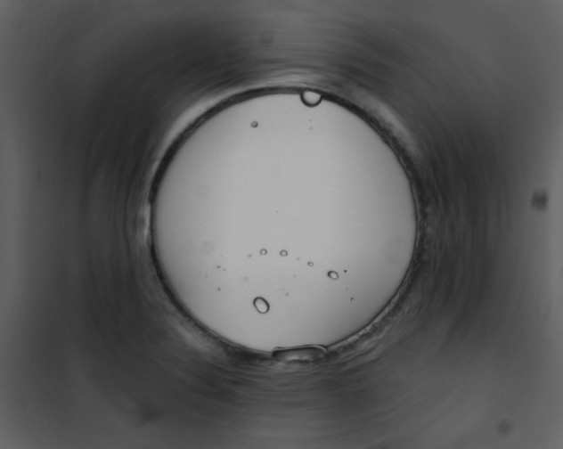 X0000101151324200807181324