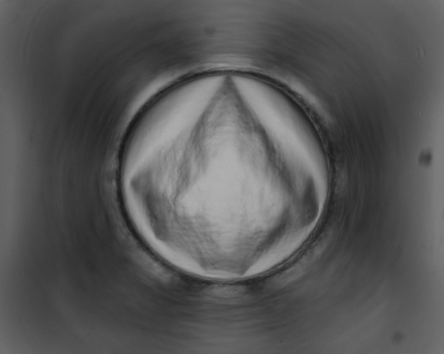 X0000101151325200807181324