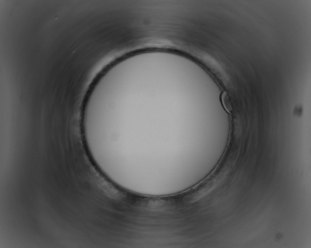 X0000101151326200807181324