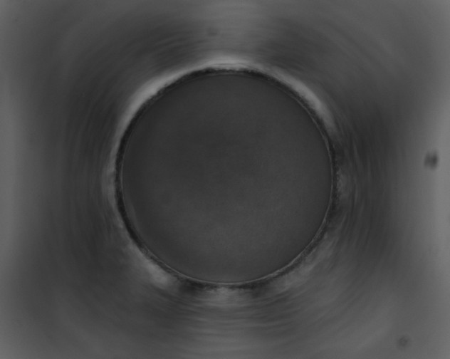 X0000101151327200807181324