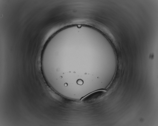 X0000101151328200807181324