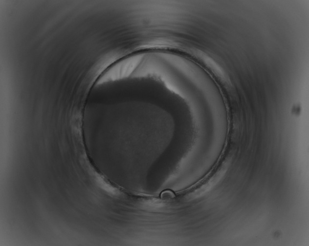 X0000101151329200807181324