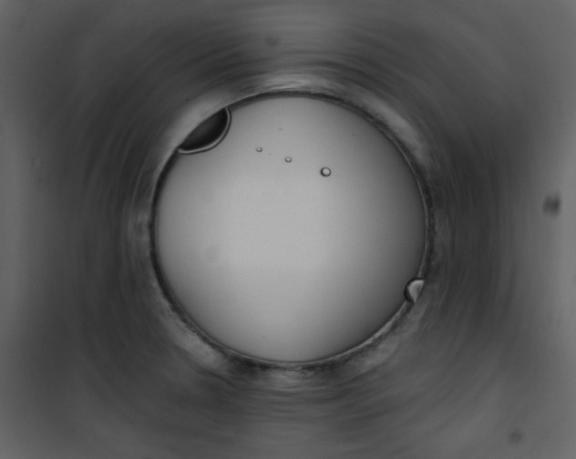 X0000101151330200807181324