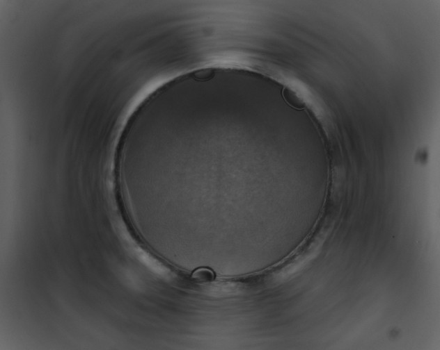 X0000101151331200807181325