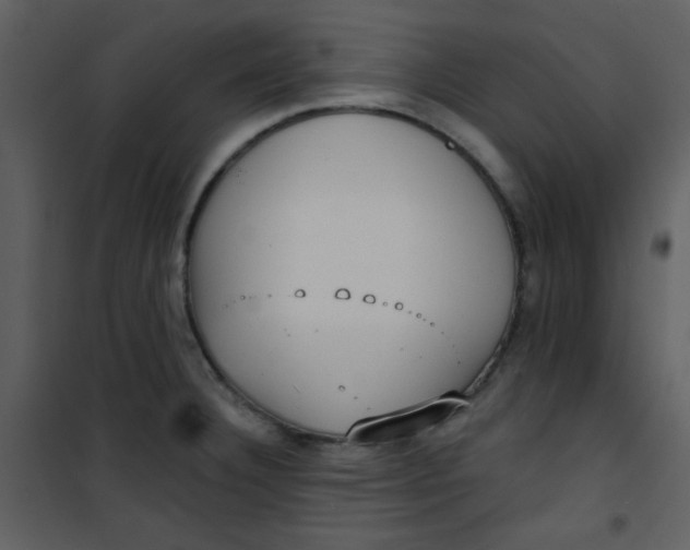 X0000101151332200807181325