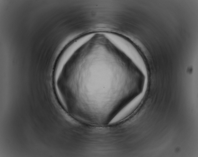 X0000101151333200807181325