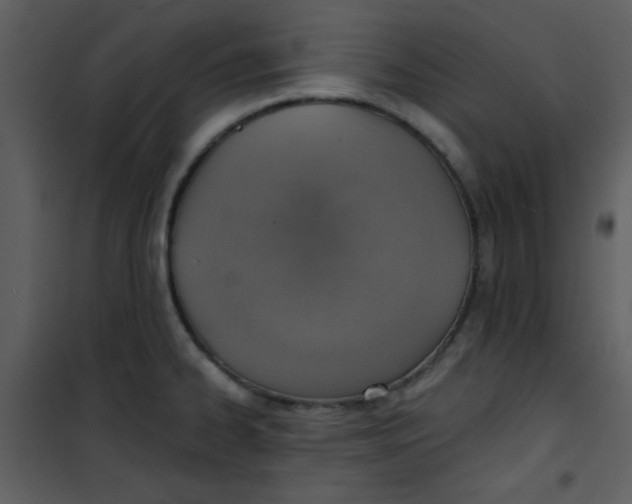 X0000101151334200807181325