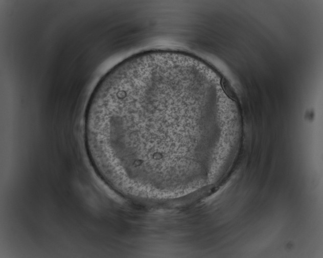 X0000101151335200807181325