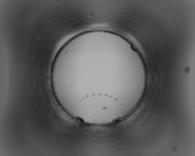 X0000101151336200807181325