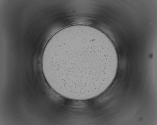 X0000101151338200807181325