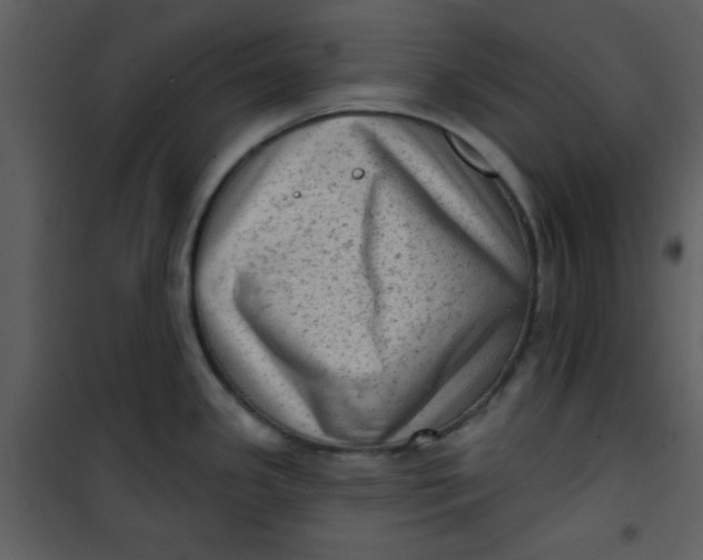 X0000101151341200807181325