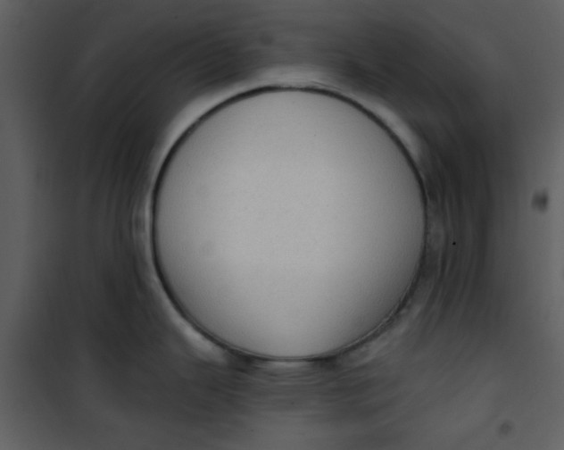 X0000101151343200807181325