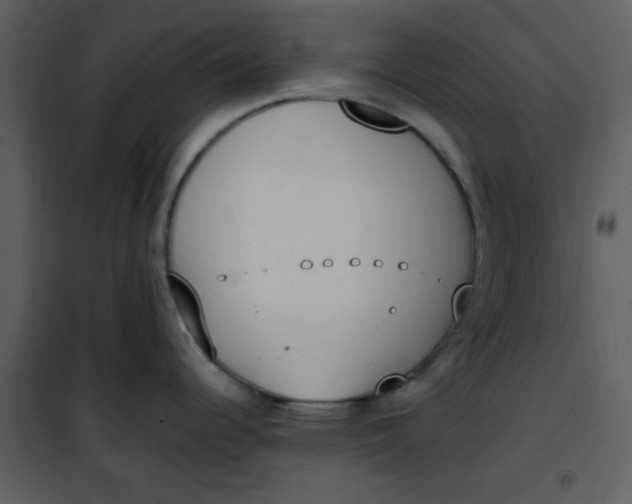 X0000101151344200807181325