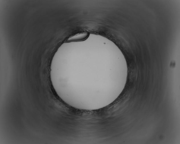 X0000101151345200807181324