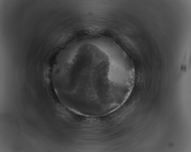 X0000101151346200807181324