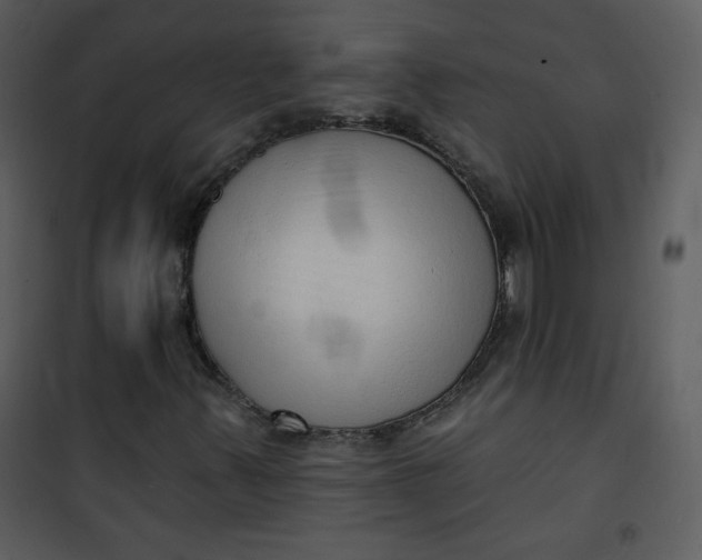 X0000101151347200807181324