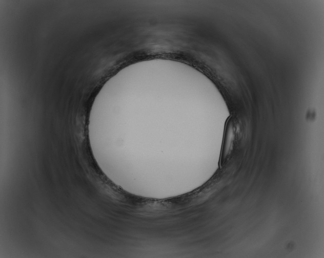 X0000101151348200807181324