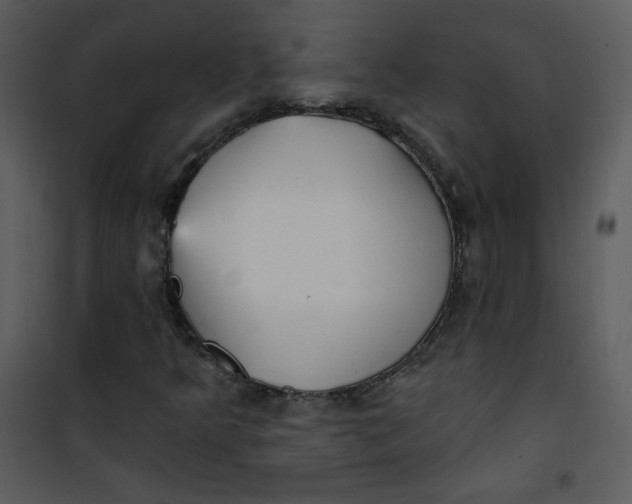 X0000101151349200807181324