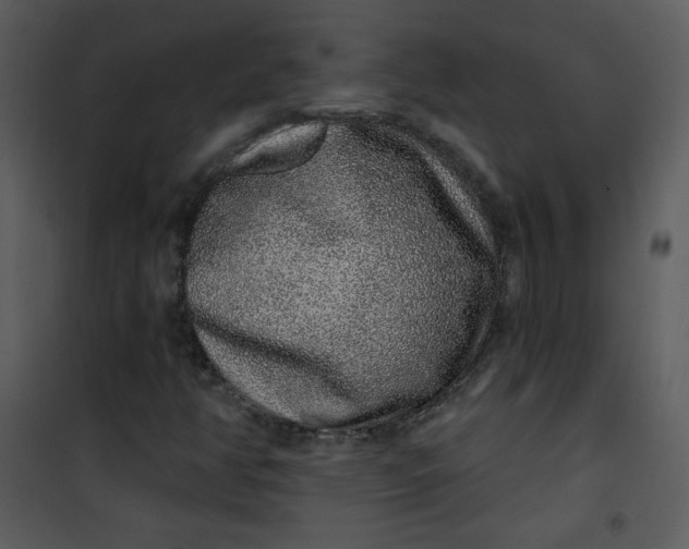 X0000101151350200807181324