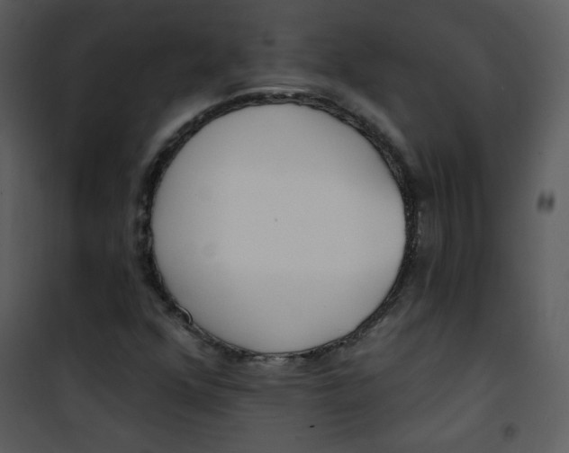 X0000101151352200807181324