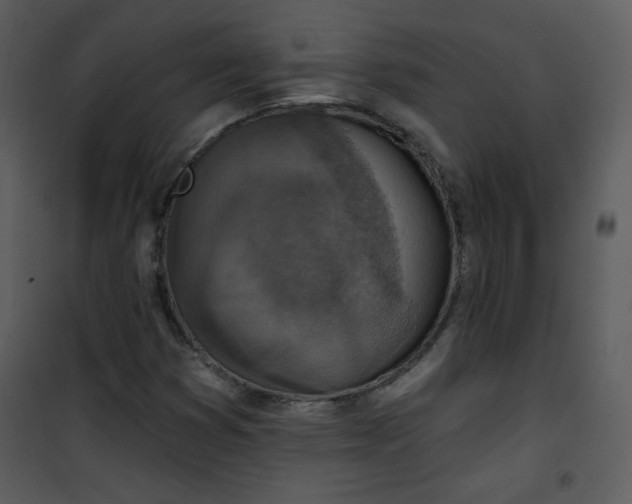 X0000101151353200807181324