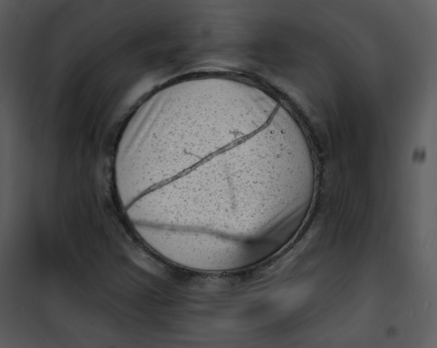 X0000101151355200807181324