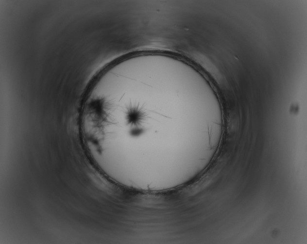 X0000101151356200807181324