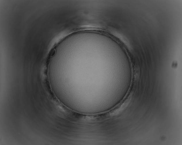 X0000101151357200807181324