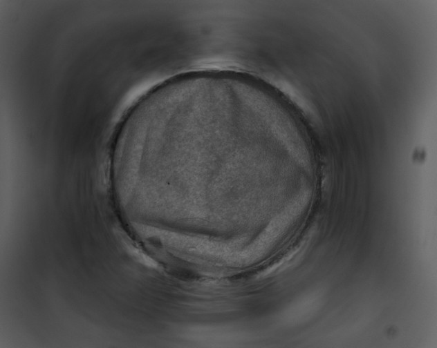 X0000101151358200807181324