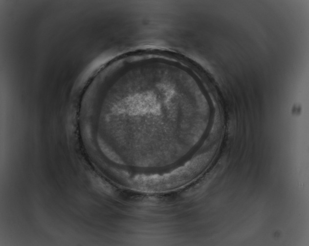 X0000101151359200807181324