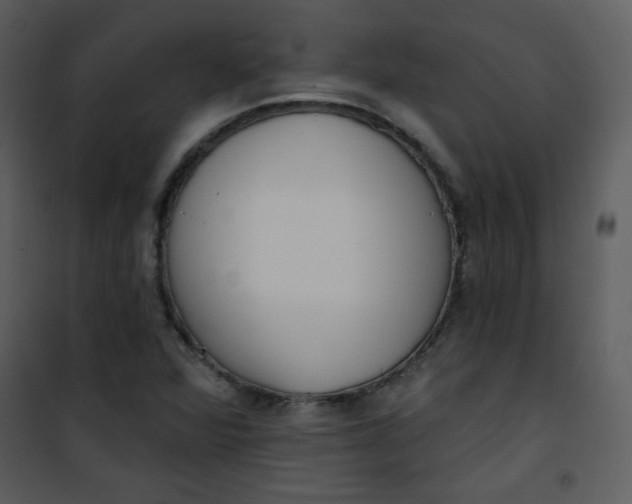 X0000101151360200807181324