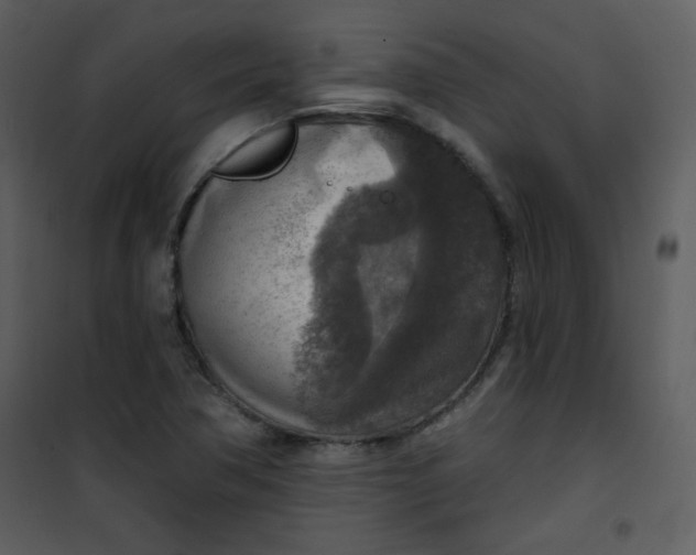 X0000101151362200807181324