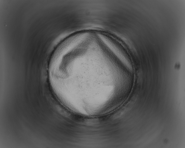 X0000101151363200807181324