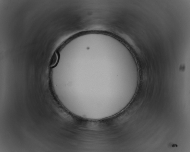 X0000101151364200807181324