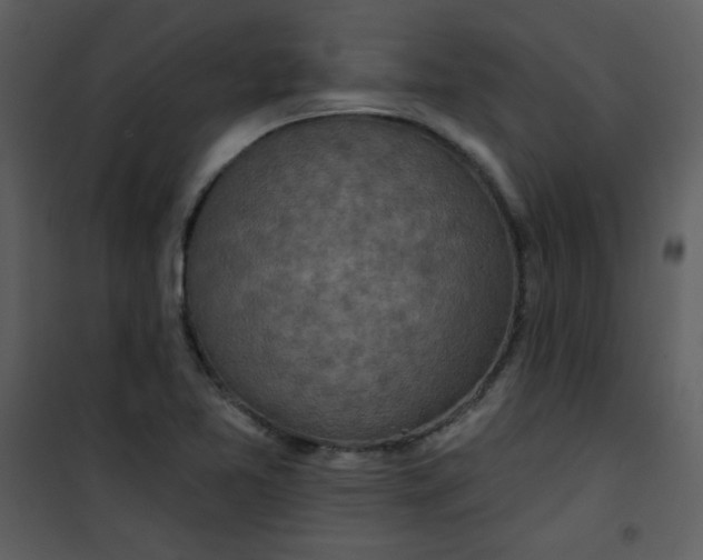 X0000101151365200807181324