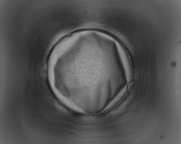 X0000101151366200807181324