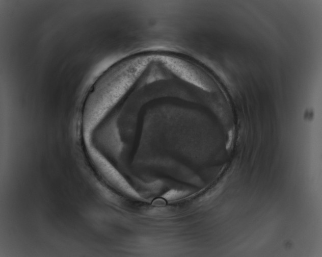 X0000101151367200807181324