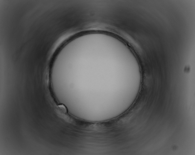 X0000101151368200807181324