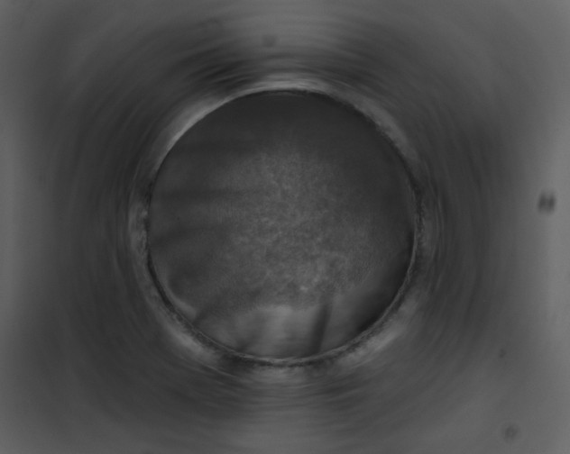 X0000101151369200807181324